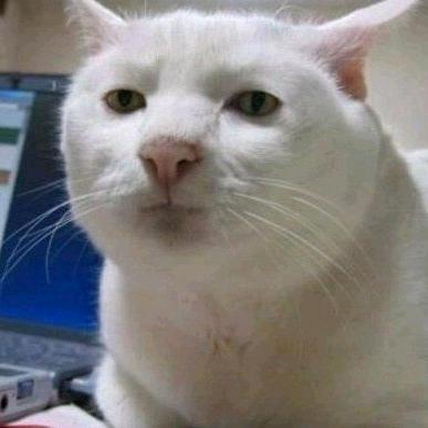 1如既往（减肥未成功版）