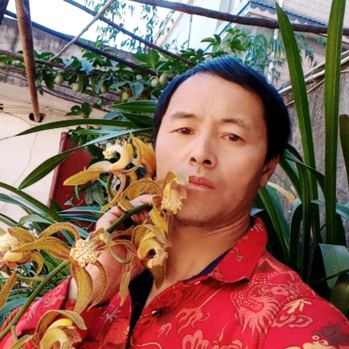 胡培军，