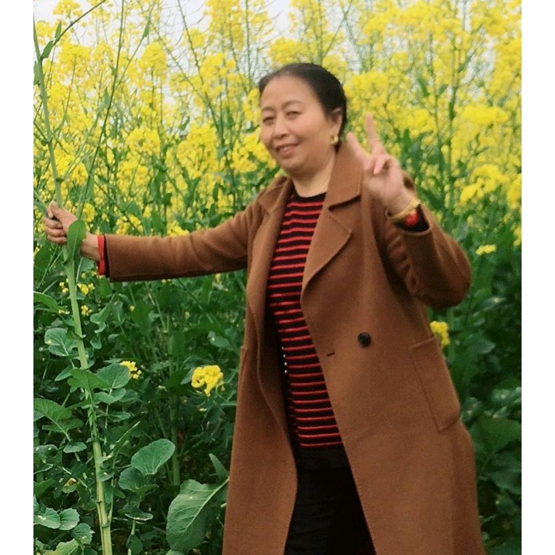 家合万事兴