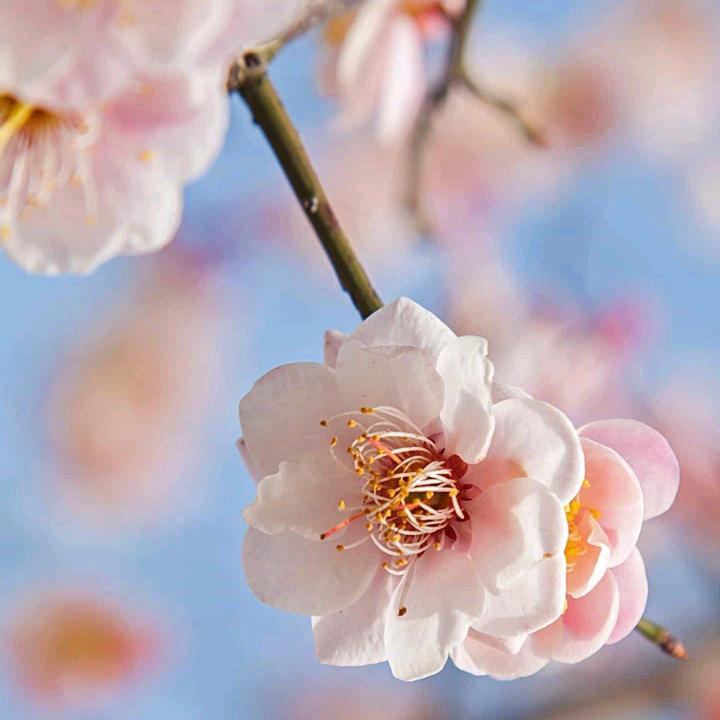 蜕变