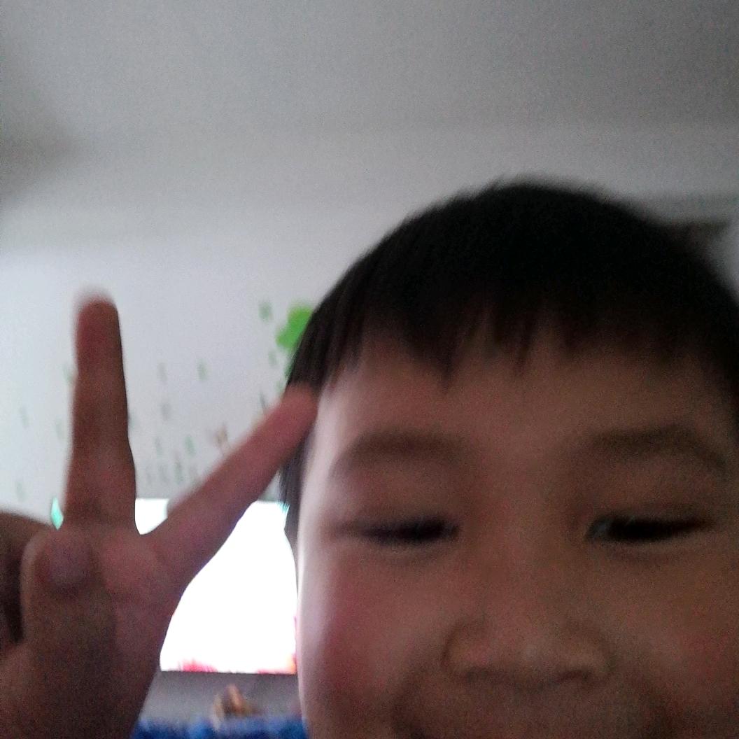 颜镜鸿