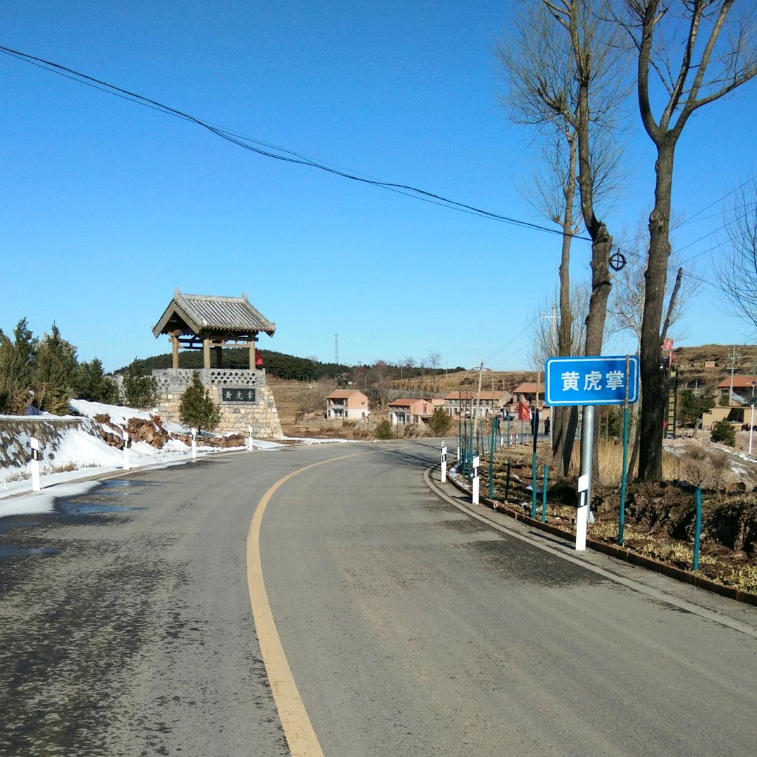 迎客松