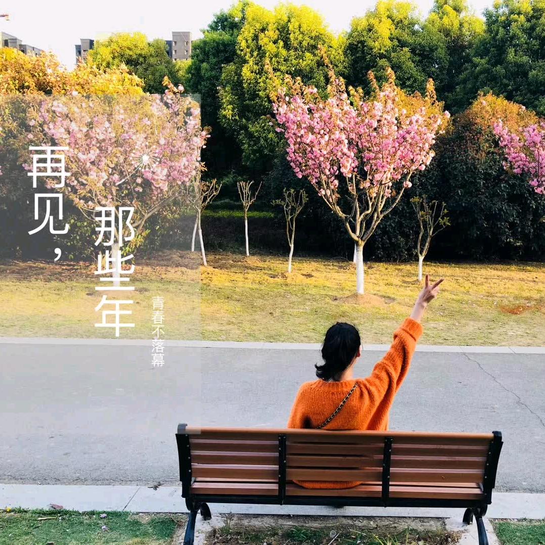 木子李🌻🍀