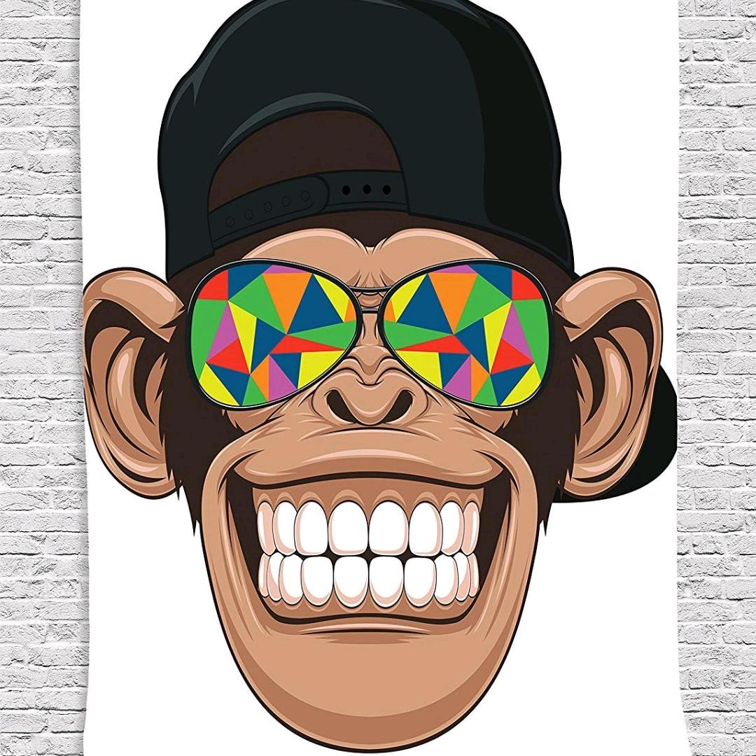 积极向上的大飞