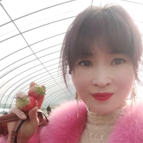 美艺美发