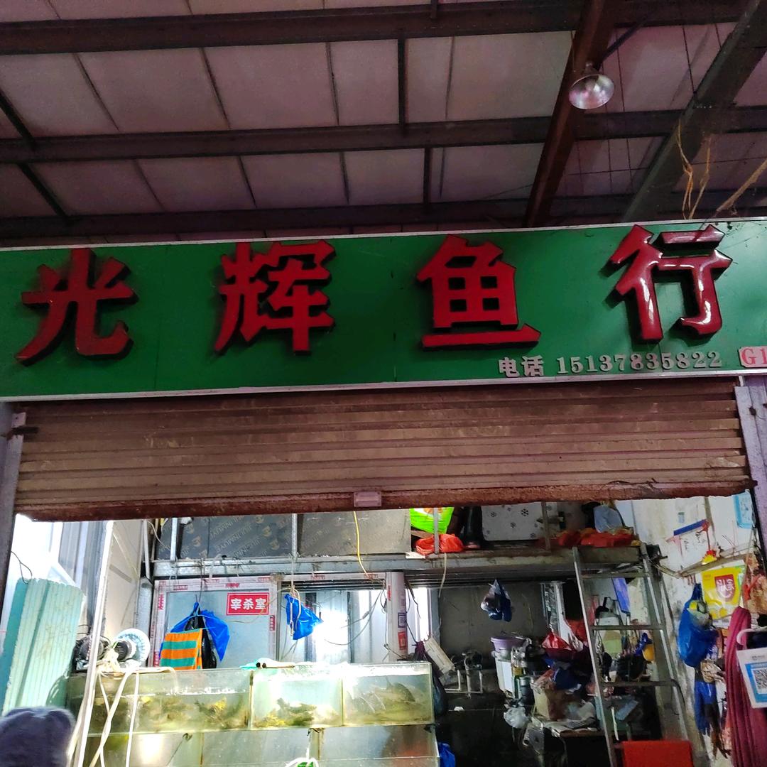 光辉鱼行-小欣子