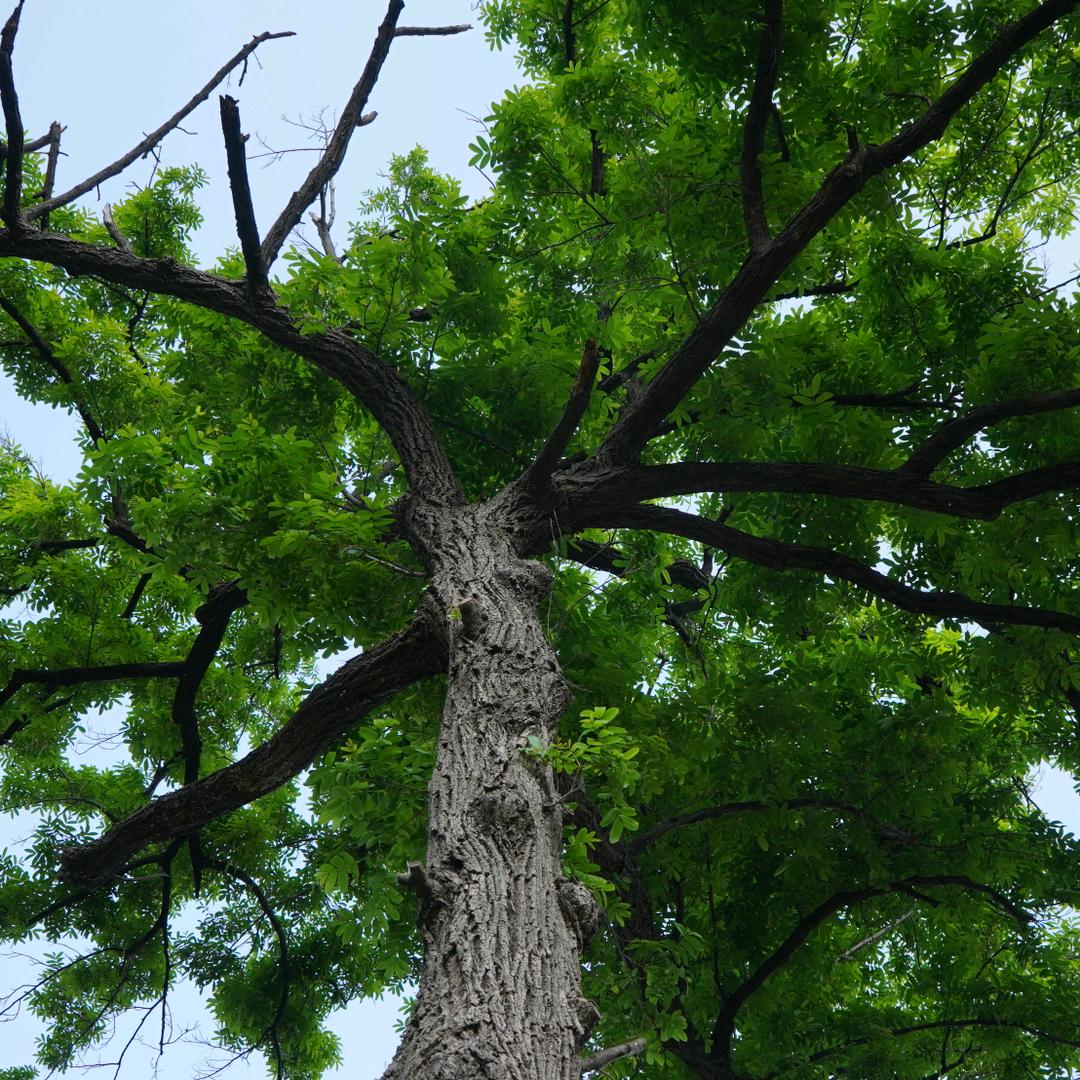 此间日月