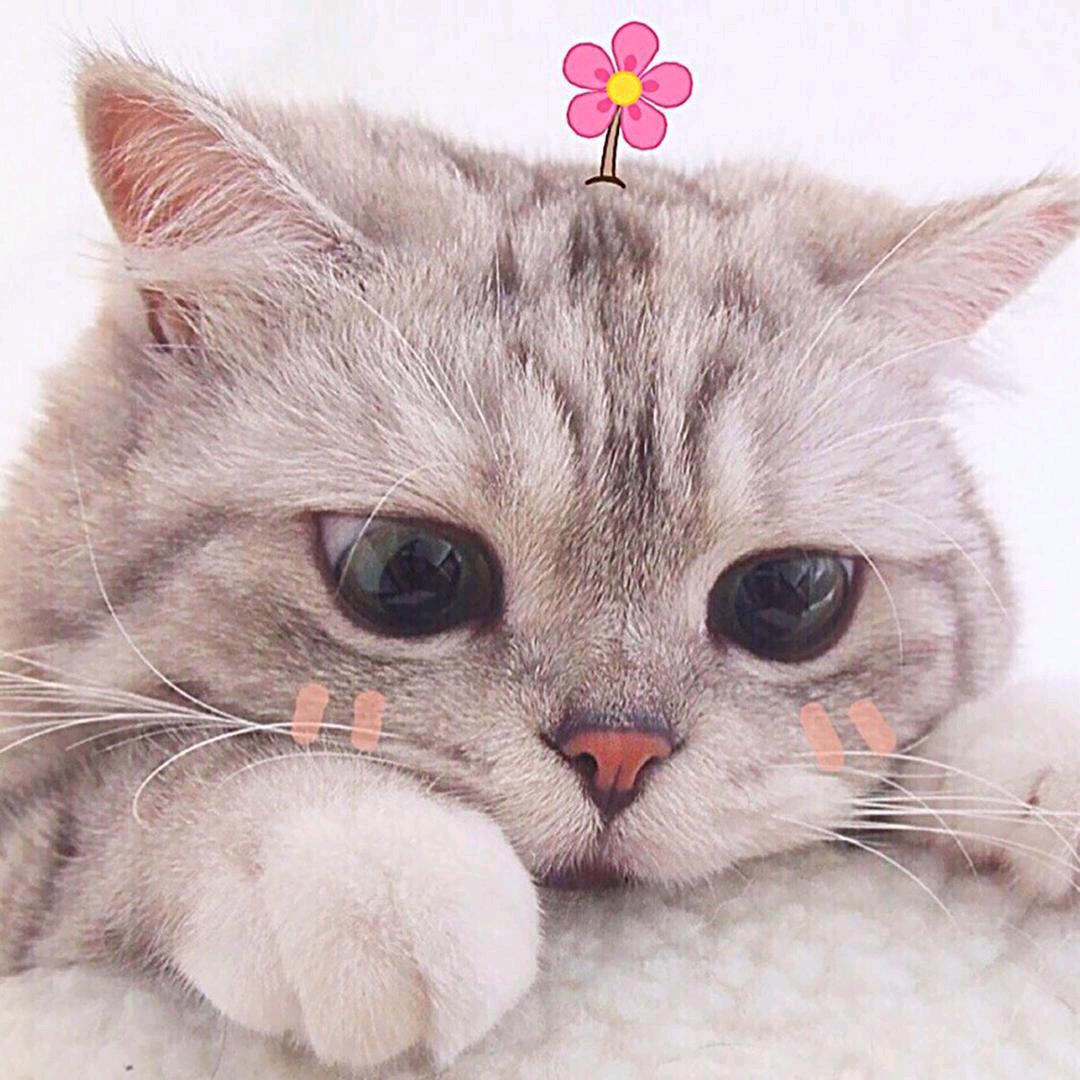 兜里有糖🍬
