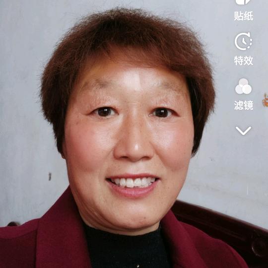 凤凰飞