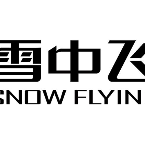 雪中飞品牌童装