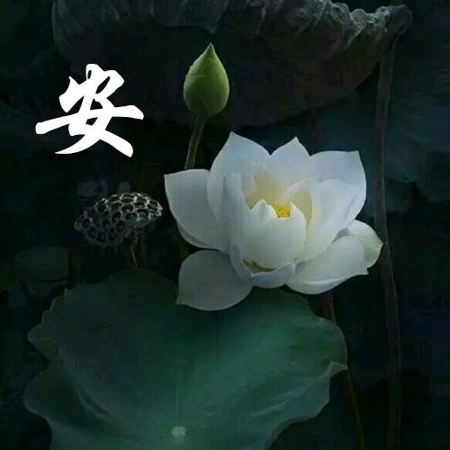芳姐