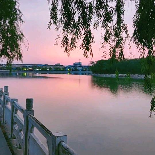 睢县平安驾校郭教练