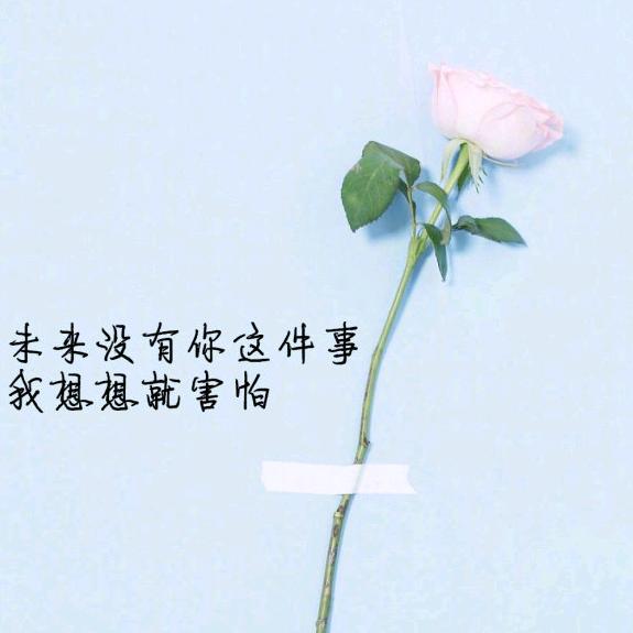 口袋