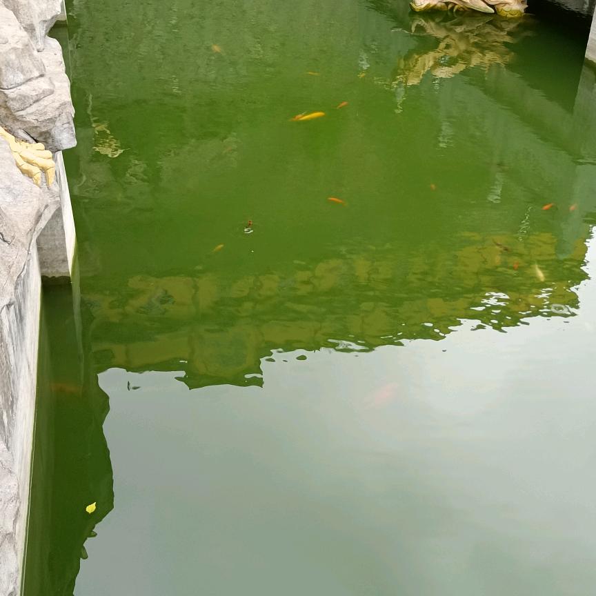 画画