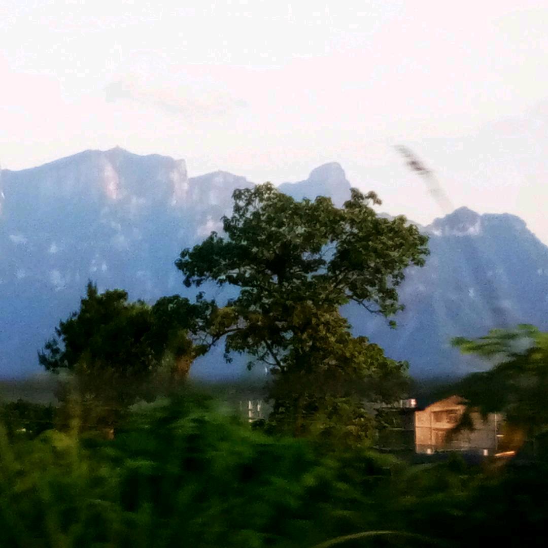 燕子