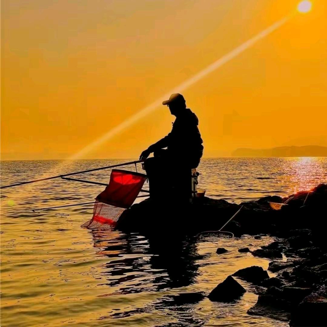 皖北鲫先峰🎣
