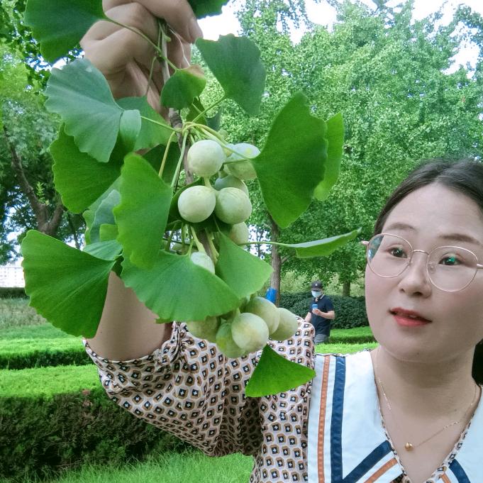 媛妹