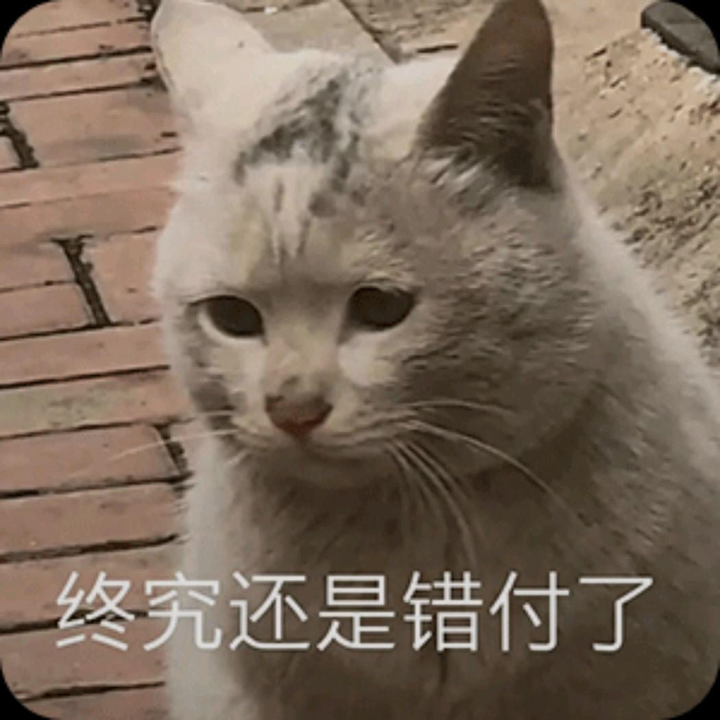 迷糊