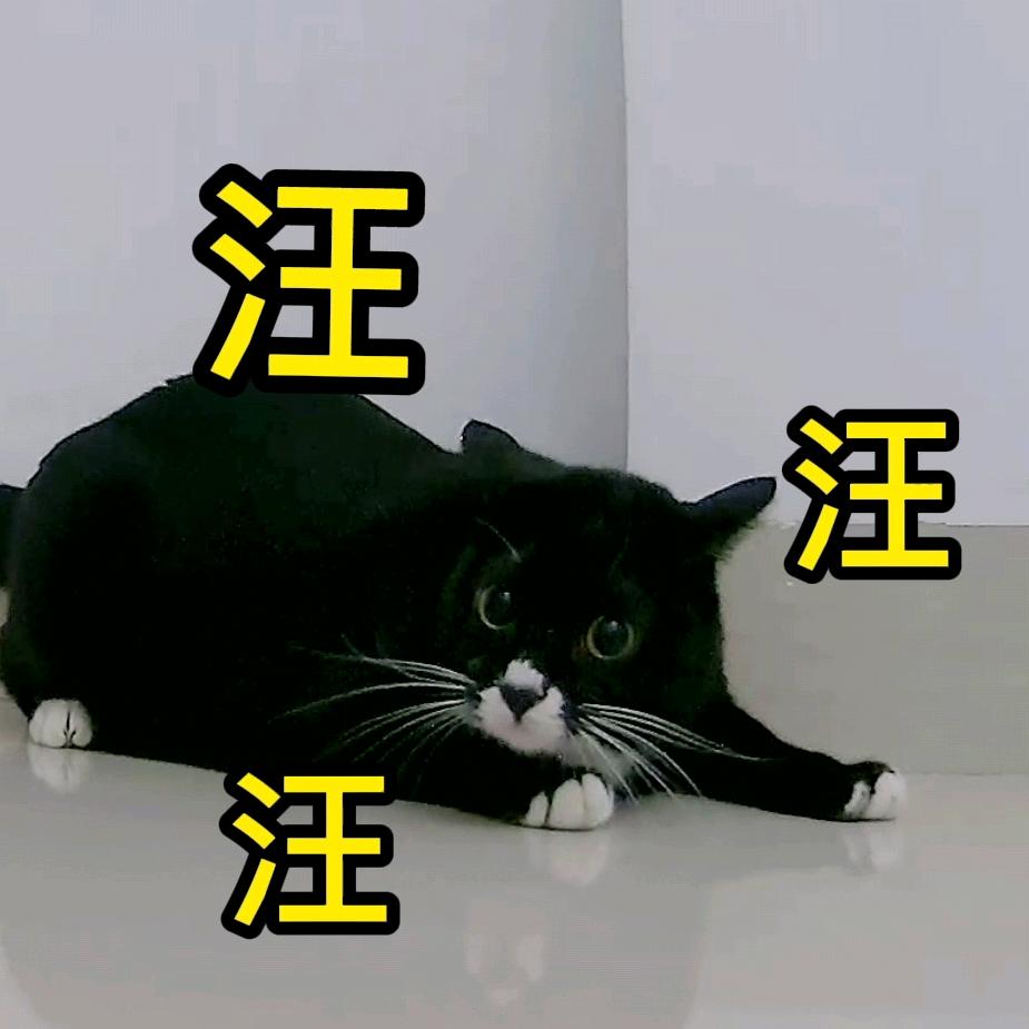 珍珠罐罐