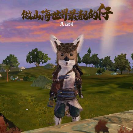 洋洋小哥