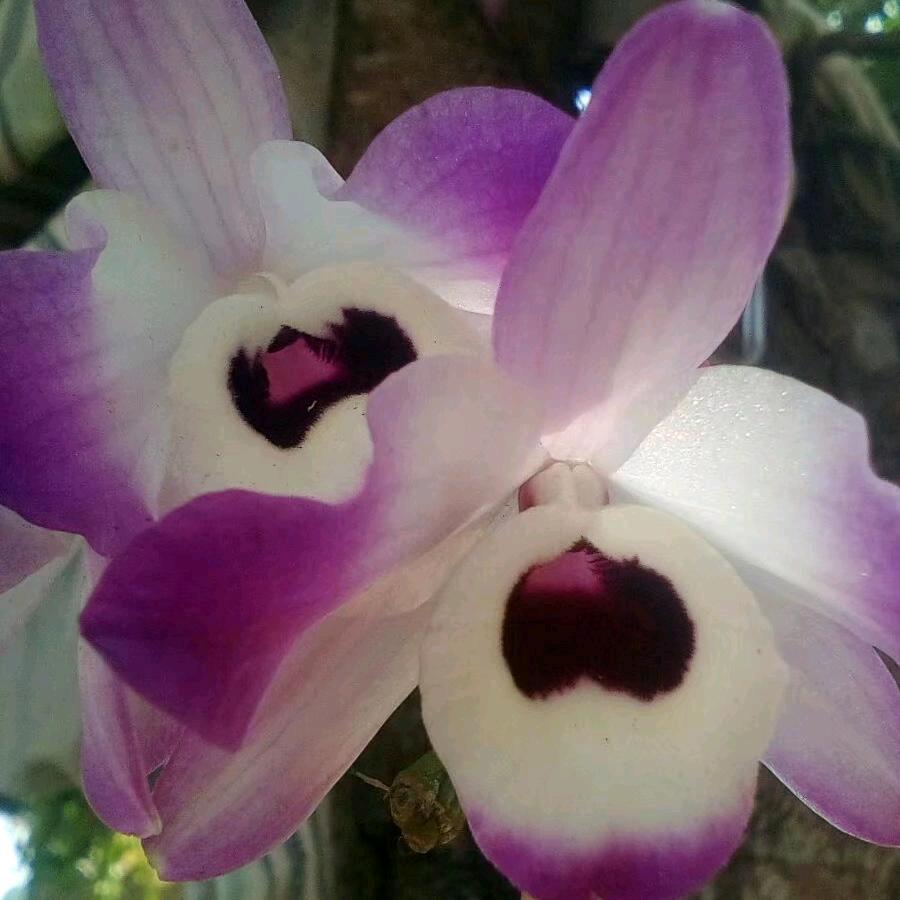 用户：*玩得成 😂