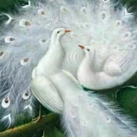 💫✨花前月下温馨港湾✨💫