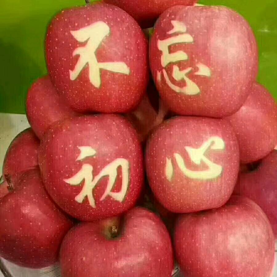 🌹🌹玲儿🌸🌸