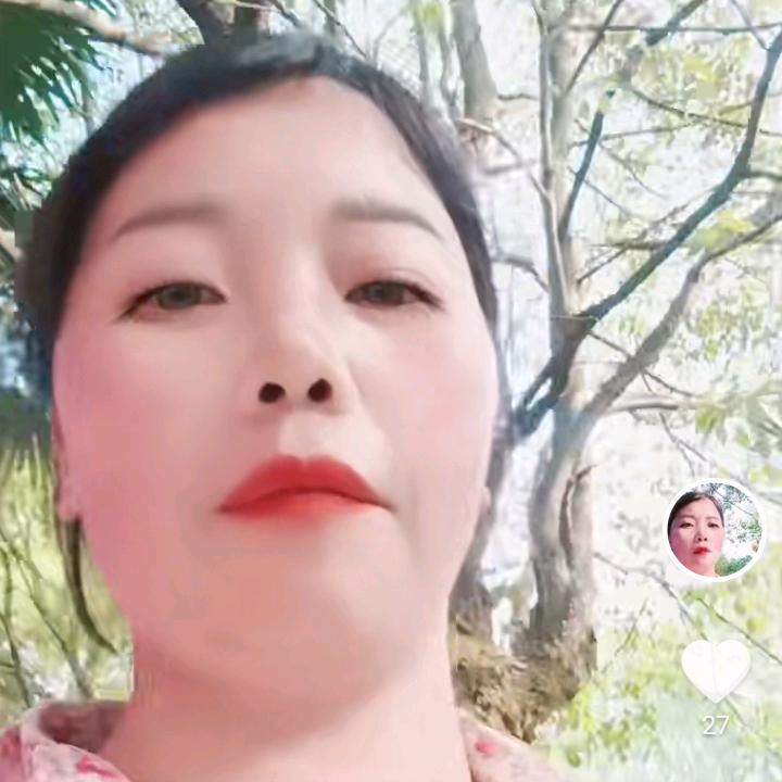 开心(朱)