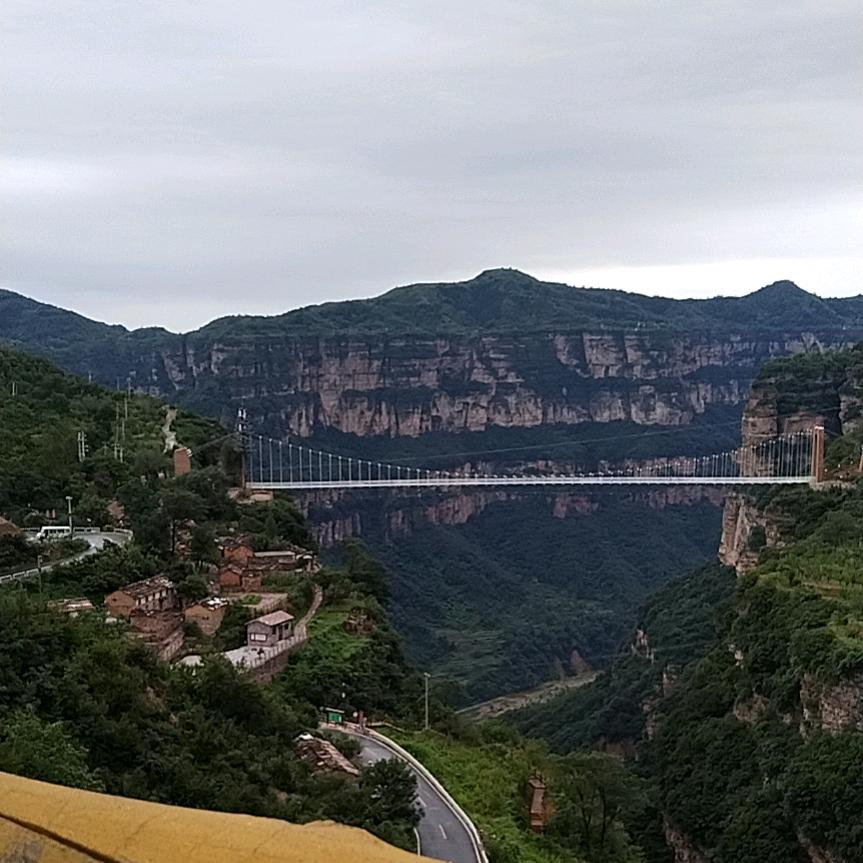 金格儿