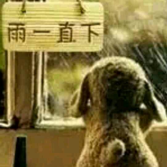 蓝齐星