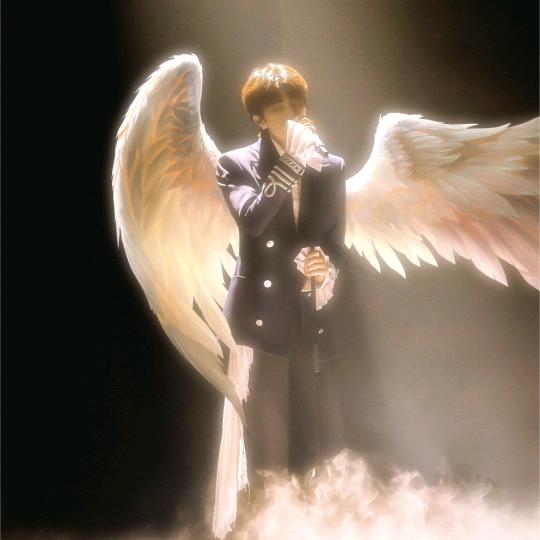 💞小蔡一碟💞