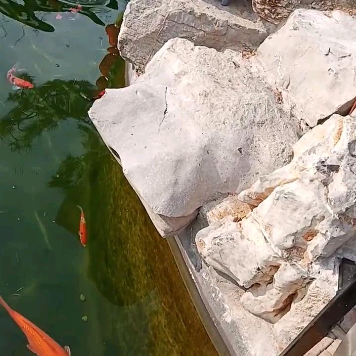 悠然