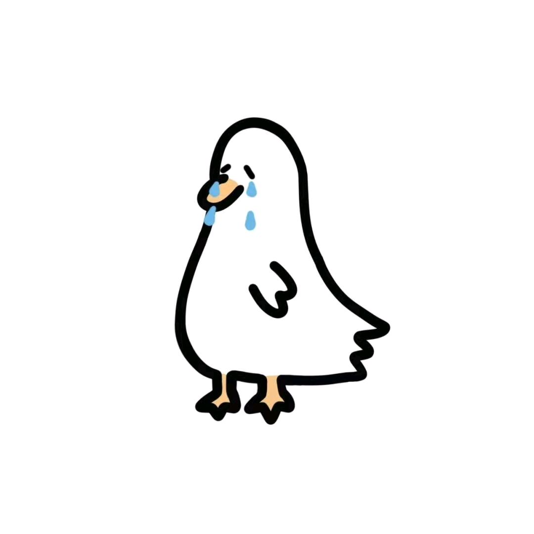 清鸽鸽鸽
