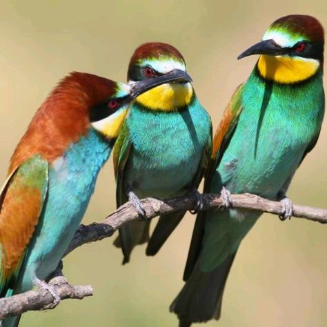 农民工     打点