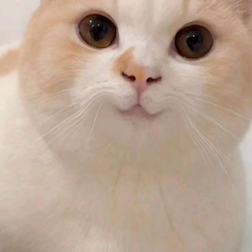 用户9112598238766