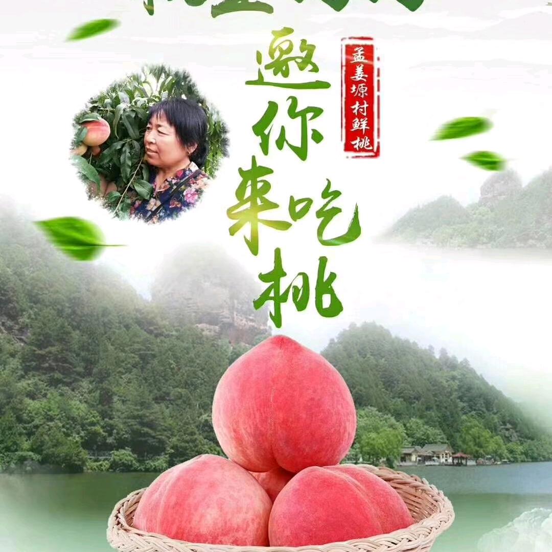 孟姜塬大红甜桃杨惠珍