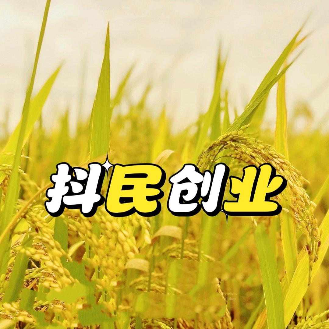 抖民创业