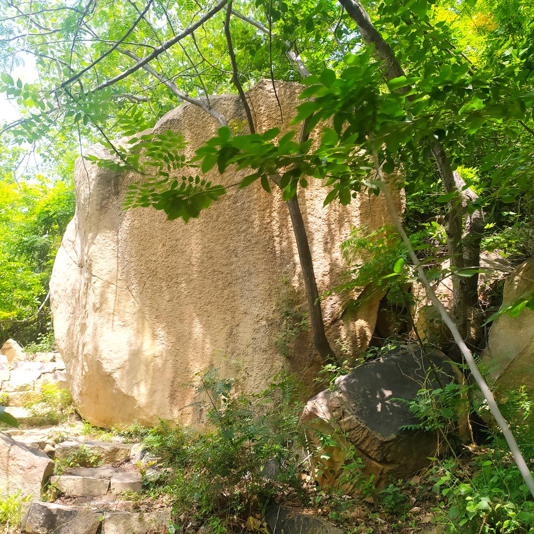 最美乡村情
