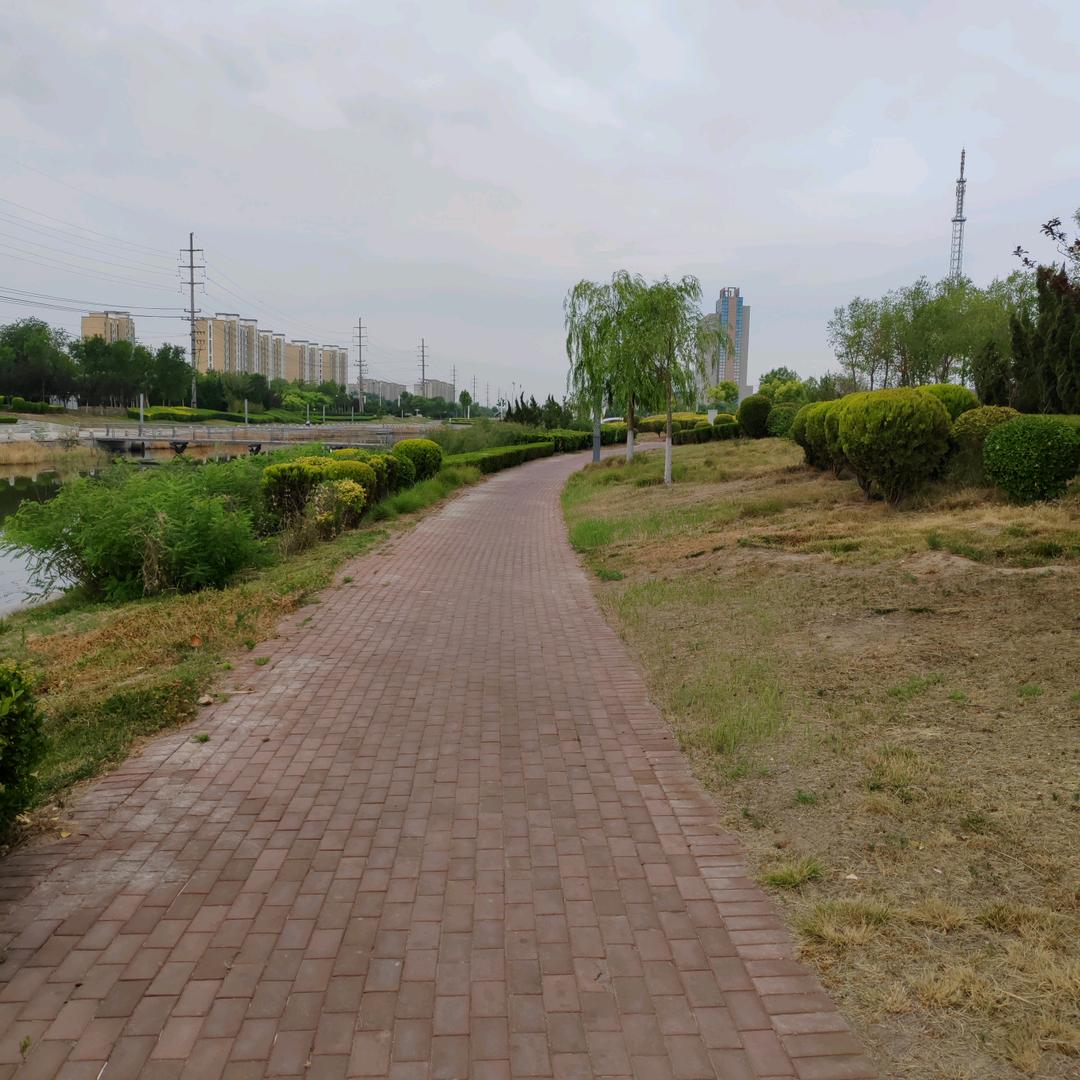 军胜五金突飞插座