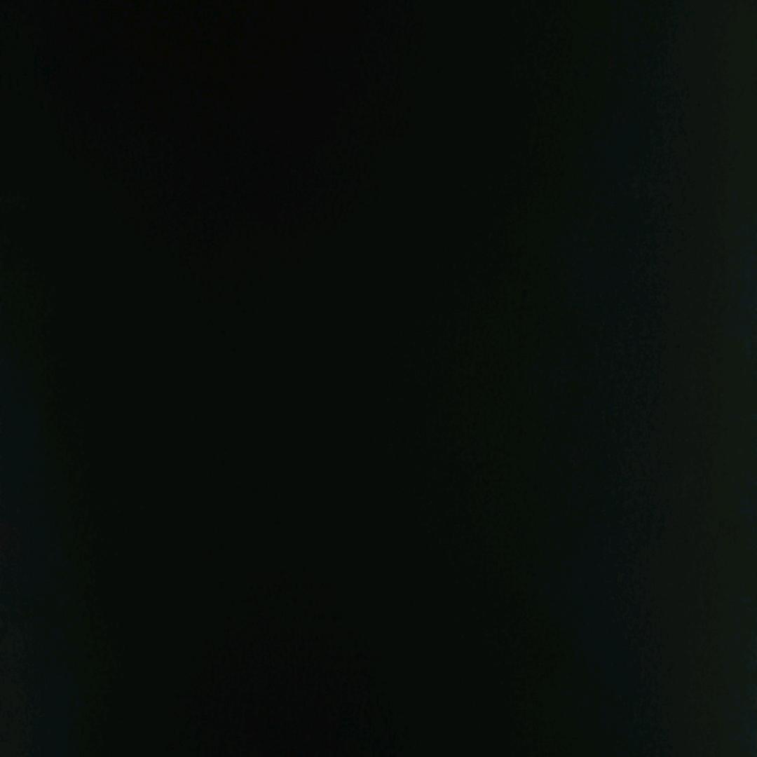 🦟