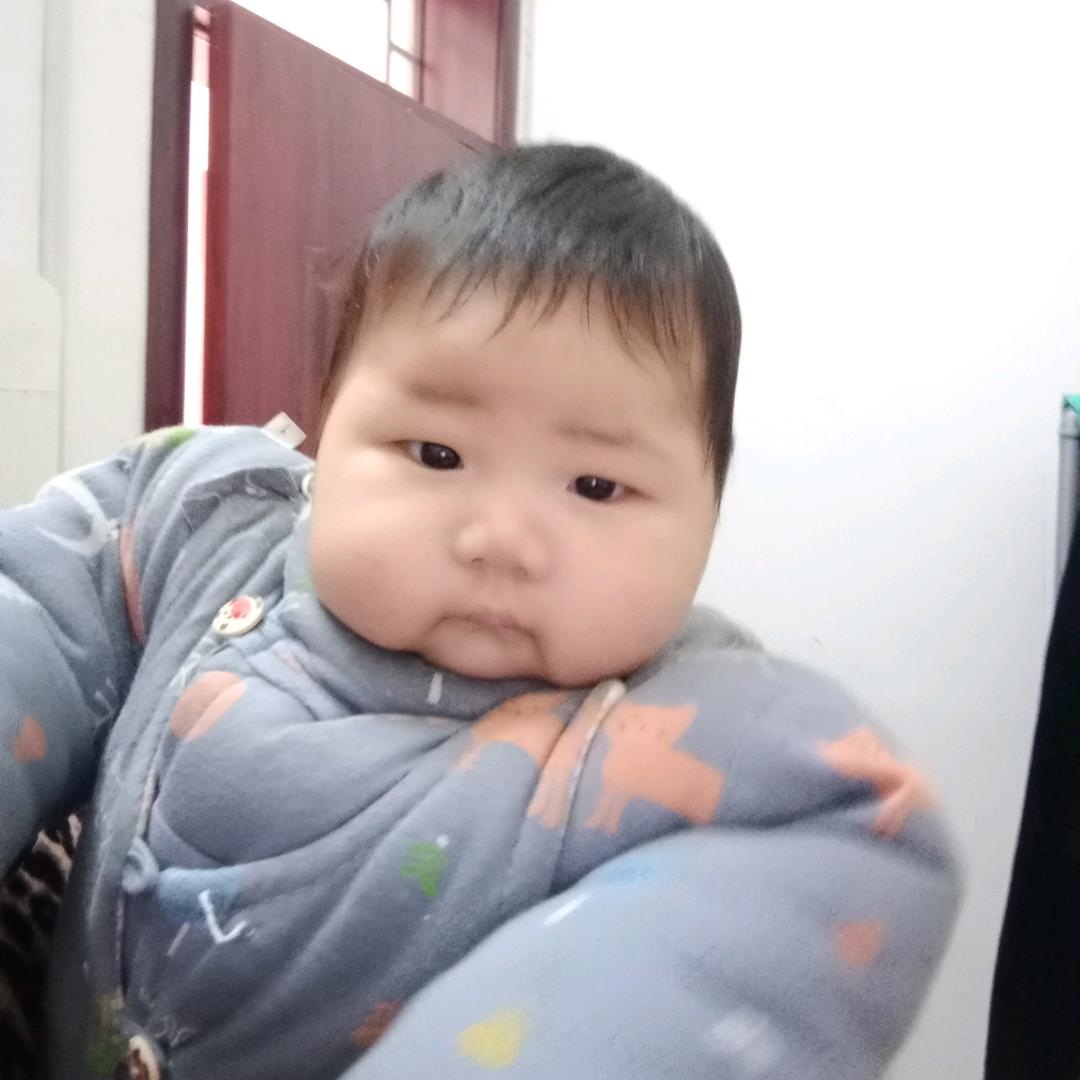 👉家有三宝 儿👈