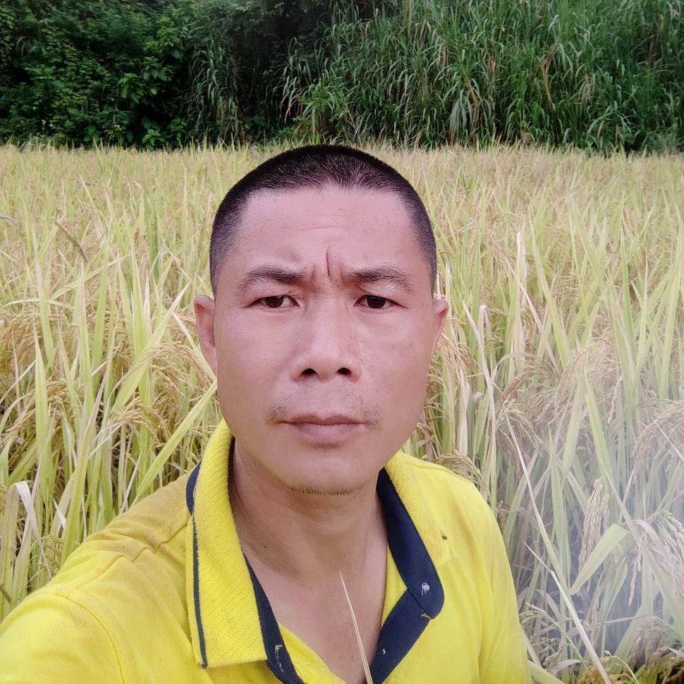 马头山村叶金明