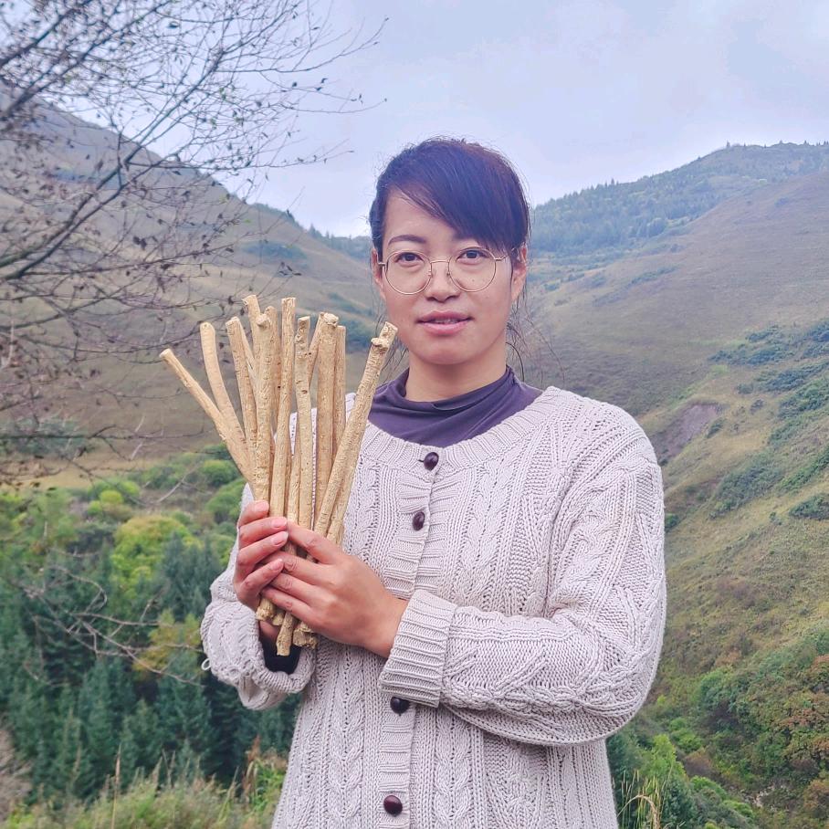甘肃归芪药乡电子商务有限公司