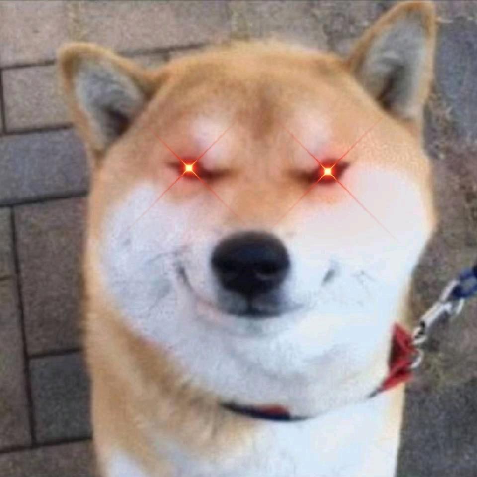 拼搏$