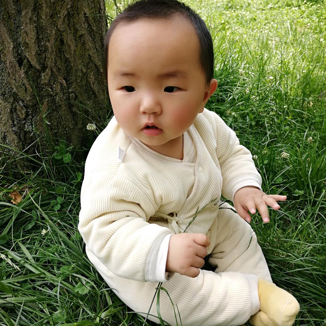 燕子zy