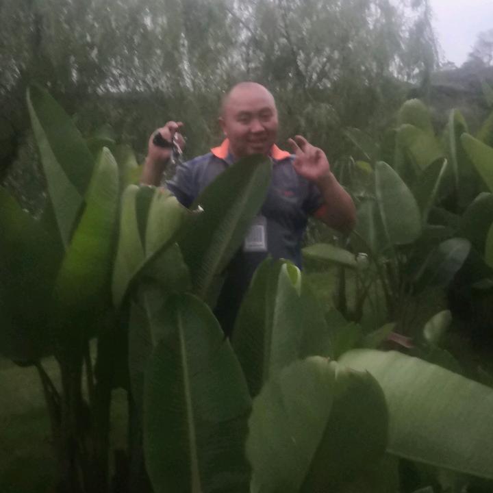 罗哥