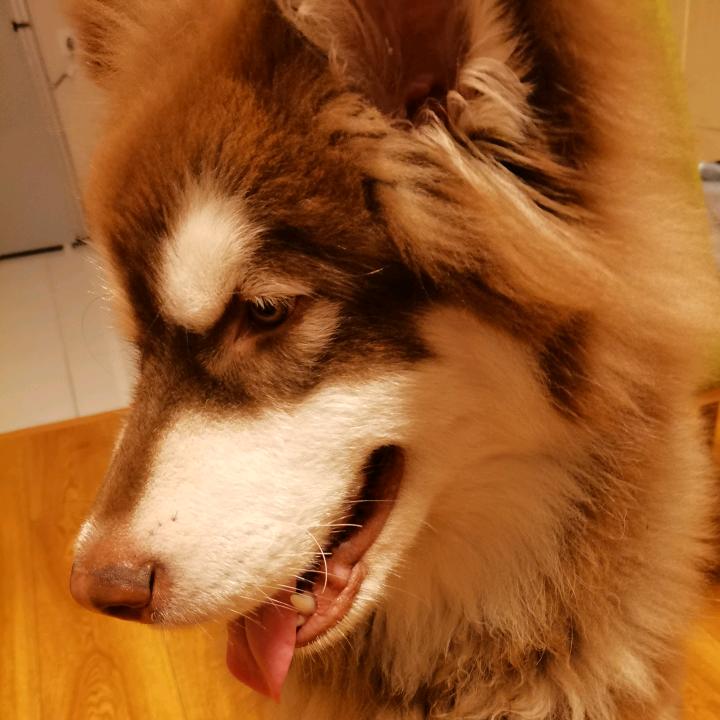 全村人的希望😀