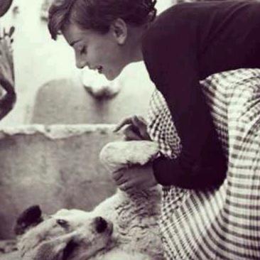 阿熊啥玩具都有