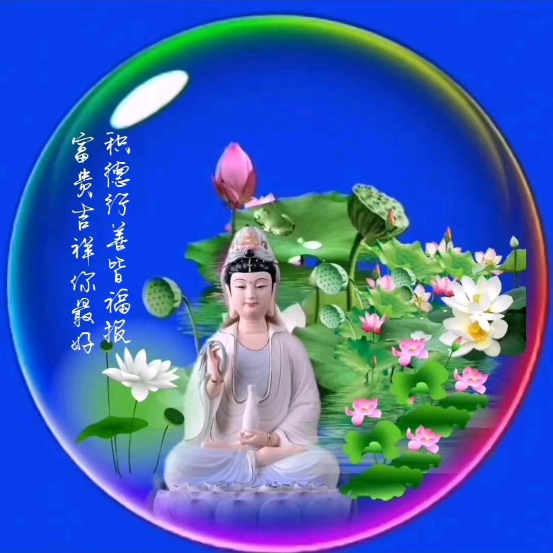 聆风听语