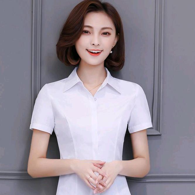 @张丽敏好物